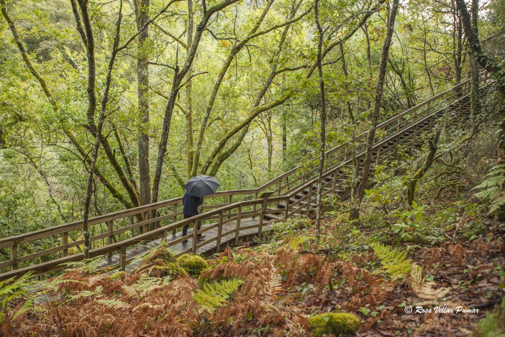 Senderismo en la Ribeira Sacra: 3 Rutas para Conectar con la Magia de Galicia 12