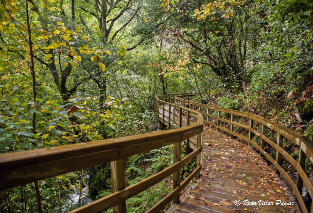 VISITAS IMPRESCINDIBLES 13