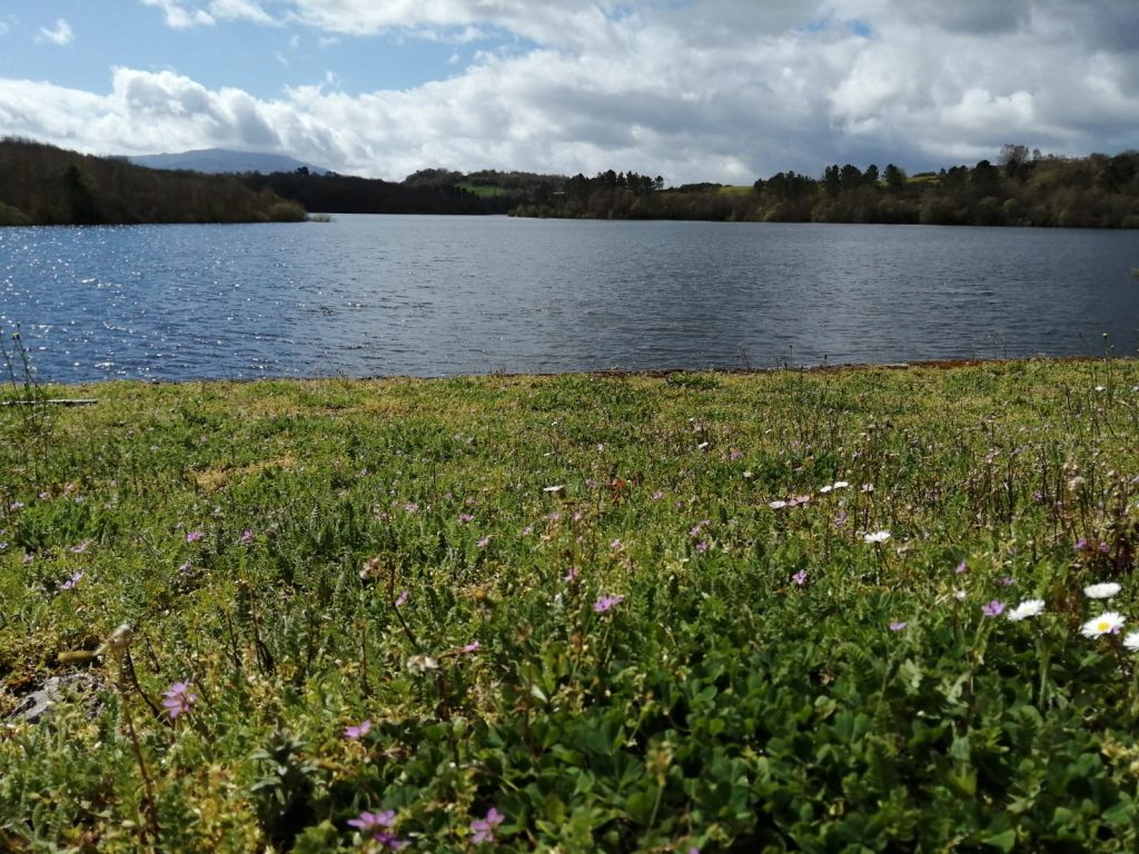 VISITAS IMPRESCINDIBLES img 20240410 wa0005